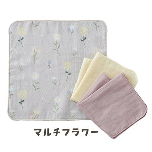 1P2{y 3ZbgzRbg100%K[[nJ` V Ԃ xr[  ht@~[ oY oYj  킢 K[[ { i Lien de famille