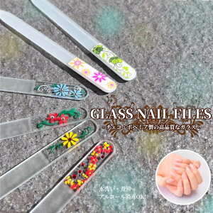 ƓɂƂ肷KX̃lCt@CBqIŔivIɎgăGR ܂₷ ܖ   c X lCPA ZtlC v[g Mtg lC 