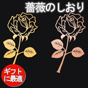 {JтɎvoAgőubN}[NB2FB ̓ a  ubN}[N Mtg ܂Ȃ ƃ[YS[h2F