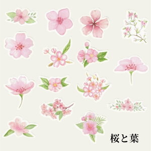 6%OFFN[|y5z+1! 蒠X}zɃ|CgBfUCLxȃ~jTCỸ_CJbgt[NV[ XebJ[ 킢 G L XPW[