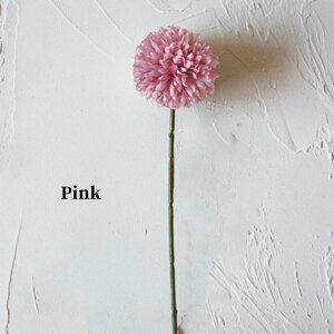 6%OFFN[|RƂtHt[||Bu[P̃|Cg֑}ɂ  A[eBVt[ u[P CeA t[AWg ԍ tFCN 