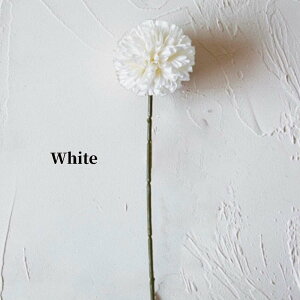 6%OFFN[|RƂtHt[||Bu[P̃|Cg֑}ɂ  A[eBVt[ u[P CeA t[AWg ԍ tFCN 