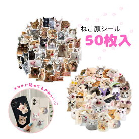 ケース付猫シール。好みのねこちゃんに出会える大容量の50枚セット ネコ 手帳 ステッカー かわいい 雑貨 大量 デコレーション 日記 にゃんこ コラージュ プレゼント ラベル スクラップブック 猫ミーム ギフトシール