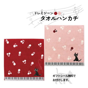 にゃんてかわいいタオルハンカチ。プチギフトやピアノ発表会の記念品に ノアファミリー ドレミジーン 音符 プレゼント 音楽 ピアノ教室 ピアノ 記念品 演奏会 猫グッズ ネコ雑貨 ねこ柄 か