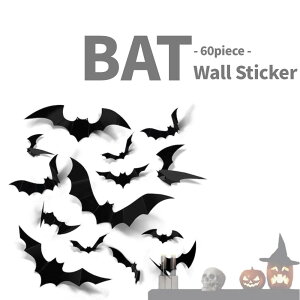 ̊͋C{RẼEH[XebJ[ nEBObY lC    fr V[ XebJ[  킢 