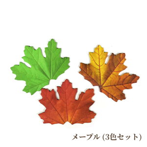 ӍՃN[|{̗tό^tⳎBN₩ȃO[GߊOf[VڂЂfUCB t t S [t A {   fXN ItBX