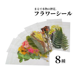 *10͑SP2{*͂ȂAt[XebJ[BCeAXNbv hCt[ V[  CO A t[ R[W 蒠 fR  t fR[V 킢 