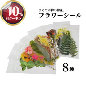 10%CPzz*͂ȂAt[XebJ[BCeAXNbv hCt[ V[  CO A t[ R[W 蒠 fR  t fR[V 킢 