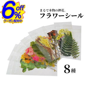 BK FRIN[|͂ȂAt[XebJ[BCeAXNbv hCt[ V[  CO A t[ R[W 蒠 fR  t fR[V 킢 