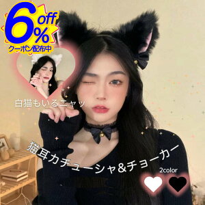 BK FRIN[|LJ`[Vƃ`[J[ZbgBnEBCxgɂӂӂRX`[ ˂ ˂݂ q ߑ  RXv Lbg { lR  _X u