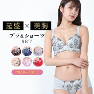 超盛 ブラジャー ショーツ セット 育乳ブラ 脇高 ブラ ショーツセット 脇肉 補正ブラ 盛りブラ 上下セッ…