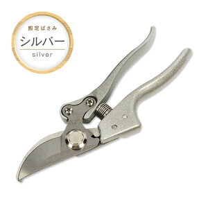 y󂠂z΂ ͂ }؂oT~ |p͂ }΂ } ؂̙  K[fjO  Kтɂ ngp  ʎ Ԗ ~ y12܂Œ