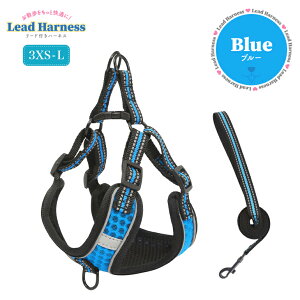 n[lX  [hZbg ^ ^ 킢  p Lp Ck hbO  lR ˋ@\t y SȂ bV ɂ n[lX[hZbg [h   