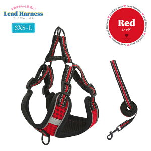 n[lX  [hZbg ^ ^ 킢  p Lp Ck hbO  lR ˋ@\t y SȂ bV ɂ n[lX[hZbg [h   