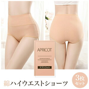 y3Zbgz g nCEGXgV[c p  V[c  [ [ Kۂ M L XL 2XL fB[X pc n K  tBbg Y 傫TCY Xgb` 