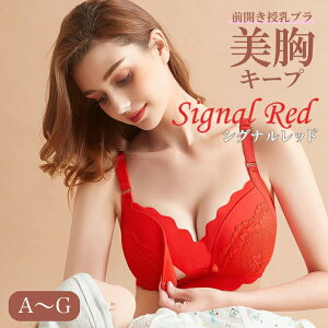 u }^jeBu [X u e OJ  mC[ C[Ȃu u  uW[ OJuW[ e iCgu Ci[   oXgAb