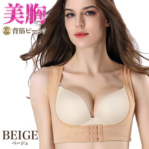 Lwxg  p oXgAbvu ubN x[W ␳  w؋xg J fB[X Ci[ Lw@  y12܂Œz