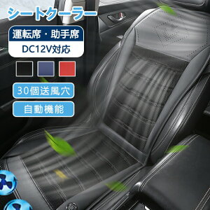 N[V[g  V[gN[[ V[gJo[ 3DbV ʋC 2025NV^ OiKʒ [@\ @\ K 2̓t@ DC12VΉ N[J[V[g ԗp Ȃ ΍