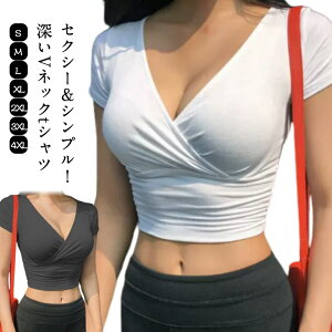  ZNV[ fB[X t gbvX [  l ^Cg vlbN    V[g ZNV[ ꂢ ׌ n Ci[ d˒ Vv 傫TCY TVc Xgb`