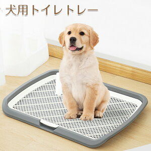  gCg[ Ch ^ ^ ^Ή Ch ͂ݏoh~ ђ˖h~ Xebv  p }[LO|[ ^gC gCg[jO łY /