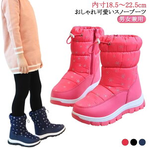 Xm[u[c LbY ̎q j̎q Xm[V[Y qC ~hu[c AEghA u[c hu[c hC ~p V ʊw Oo s ~pu[c q EC^[u[c  