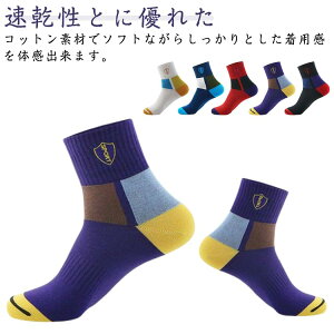 t ʋC X|[c Y  X|[c ejX H fB[X ~ tH St 5Zbg  TbJ[ oXP C jO EH[LO WMO EI[LO N[\bN