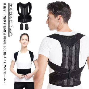 hN^[LwT|[^[ Lw fB[X w؃xgn[h^Cv w xg w؋xg qp T|[^[ pxg w؃xg pxg ␳xg Lwxg 