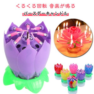 a }WbNt[ o[XfCLh ԕق邭 Lh a TvCYLh @̉ yt fB p[eB[ q  v[g 