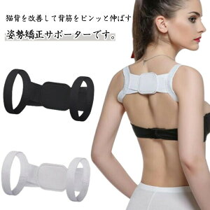 2Zbg pxg pT|[^[ eɂȂɂ Lwxg Lw xg Ci[ ܂ w؃s T|[^[ w L΂ T|[^[ w؋xg w L΂ 