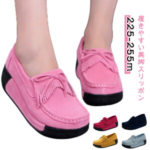 JWA t fB[X  r Xb| H Xb| v  l ₷  U[ C ~  [t@[ r tbgV[Y 芴 ꃍ[t@[ 