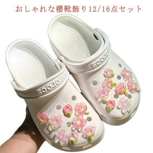 C 16/12_Zbg  C  ANZT[ ANZT[  V[ANZT[ fB[X ANZT[ V[`[  킢 K[Y T_p V[p[c 