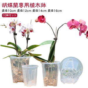 Aؔ Aؔ Aؔ vX`bN ̔ t  m 10Zbg Ӓ O  Ӓ̐Aւ I[Lbh|bg ϗtA A c|bg v^[ ۈ牀|bg 