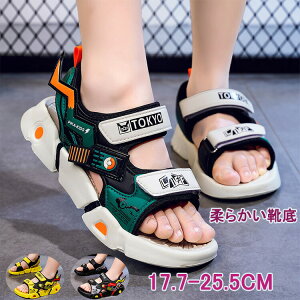 2025Vi X|[c T_ LbY ̎q j̎q T_ q T_ qC }WbNe[v xr[T_ Xj[J[ r[` AEghA  y RtH[g Ȃ i 