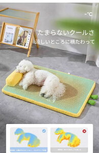 I[V[YΉ pWF VR^҂ Lp\t@xbh ^ 􂦂Jo[t ėpЂybgQ 