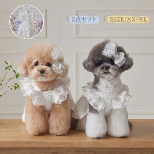  ybg s[X wAst 2_Zbg t m 킢 zCg  Pl [X XJ[g hX hbOEFA ̕ EGfBOhX RX`[ t@bV 