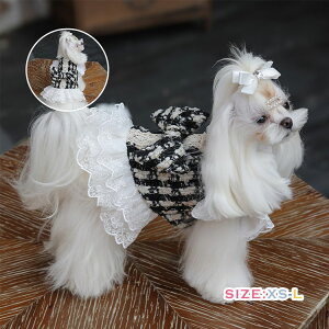  hX cC[h s[X hbOEFA L `[ XJ[g hbLOs[X [X GKg R[g  h ۉ Pl  Ղ   ^ ^ C