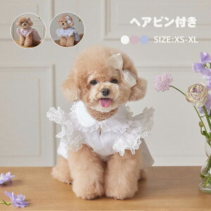 ybg 킢  s[X wAst 2_Zbg Pl [X XJ[g ̎q hX hbOEFA  ^ ^ m _炩 U o  j LOB