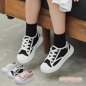 LbY 㗚 qC Xj[J[ j̎q ̎q y LoX Vv n JWA V[Y qC ̈ ^ y X|[cV[Y ʊw ʉ i ʋC bV 