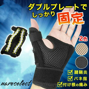 ew T|[^[ F≊ ΂ˎw  tɂ Œ ˂w P ֐ߒ ewp hbOXgA 