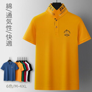 |Vc Y  gbvX Rbg TVc POLOVc ʋC z L n rWlX JWA 㒅 jp t@bV X|[c StEFA ʋ d   T}[ 