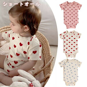 {fBX[c n[g p[X V[gI[ xr[  p[X Ԃ { Ԃ xr[ t  ̎q q c 킢 ĕ pW} 