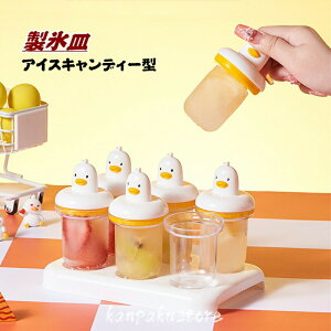 ACXLfB[[J[ ACXN[ XM X DIY ACXLf[^ X_^ p[eB t[c ACX 肪Ȃ  q ߋ  ٓ َq