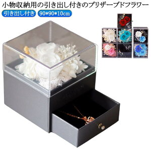   ANP[X [P[Xt c ~jTCY AW t[  vU[uht[ t[Mtg a vU[uht[ Fl  Mtg ͂Ȃ hV̓ v