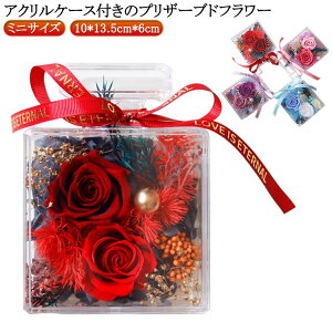  vU[uht[ t[Mtg ~jTCY  t[ j AW   c a ͂Ȃ vU[uht[ v[g hV̓ ANP[X җj 