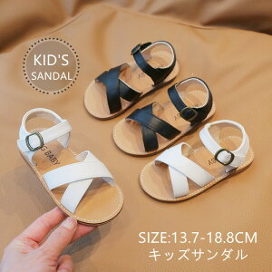 T_ ̎q j̎q LbYT_ qT_ xr[T_ q X|[cT_ xr[T_ j  y ɂ Snǂ  ItzCg 13.7cm`18.8cm 