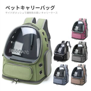 ybgobNpbN bN bNTbN ybgobO  L L[ ybg obO ybgL[ P[X  킢  obNpbN L[P[X ybgp U h