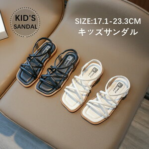 T_ ̎q LbYT_ qT_ xr[T_ q X|[cT_ xr[T_  y ɂ Snǂ  ItzCg 17.1cm`23cm 