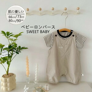 xr[p[X  I[C 2_Zbg xr[ q ̎q j̎q Vv jp v[g Mtg oYj Jo[I[ V Ԃ p[X  t a