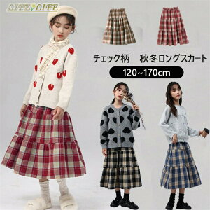 H~ LbY tAXJ[g `FbN ̎q OXJ[g EGXgS VXJ[g AC q JWA ʉʊw \  t H ~ 110 120 130 140 150 160 170 