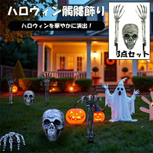 nEB  [ ͌^ f W A[ 3_Zbg  XPg  A vX`bN ̎ HV~[V  CeA nEB ] p[e